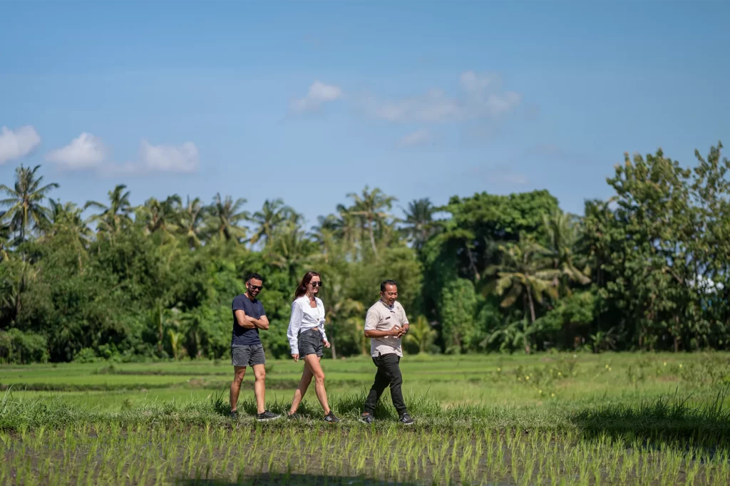 Morning walking tour