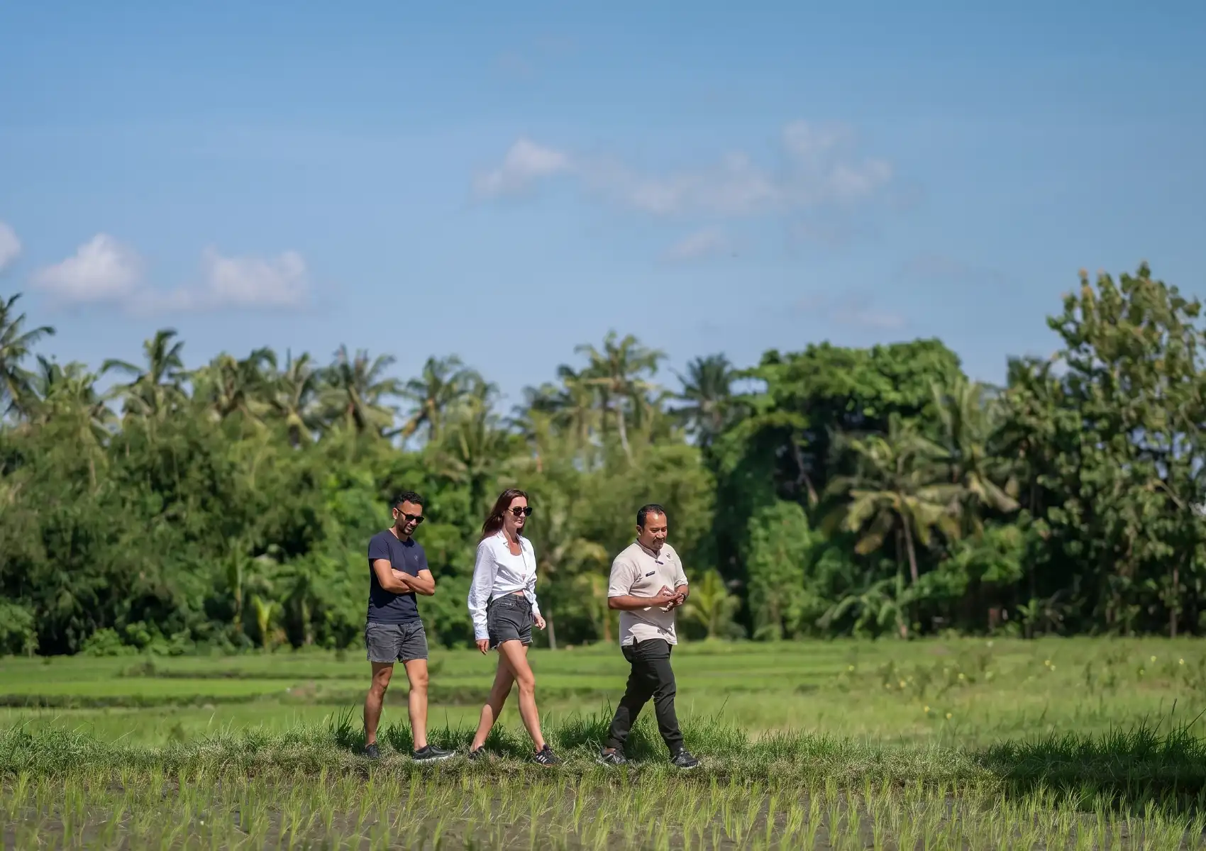 A local guide leading a couple on a village trekking tour through lush green rice paddies in Ubud, Bali, with tropical palm trees and blue sky in the background