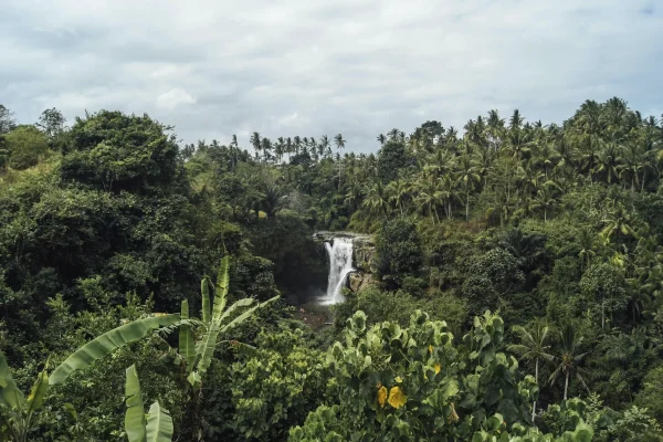 Tegenungan Waterfall