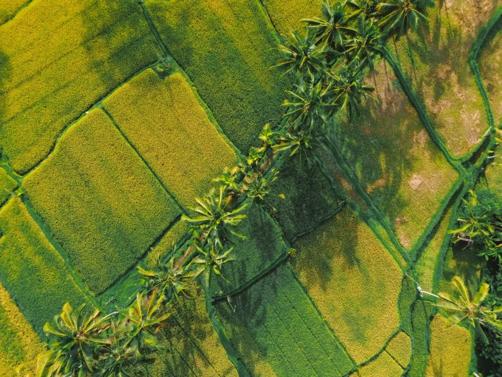 Stay Longer Save More Emana Akatara