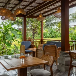 Citrus Emana Akatara 2