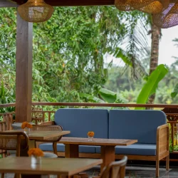 Citrus Emana Akatara