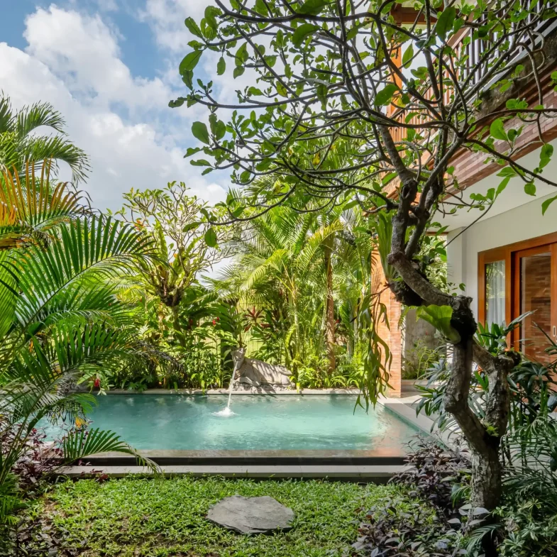 Deluxe Room Emana Akatara