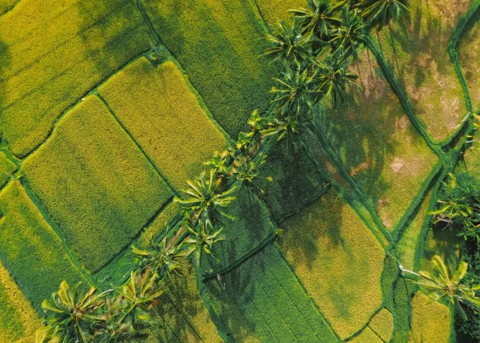 Stay Longer Save More Emana Akatara