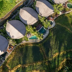 What's new Emana Bambooscape