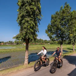 Bike Ride Rice Fields