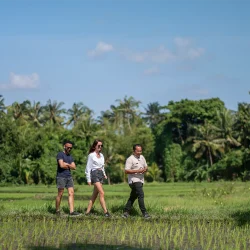 Morning walking tour